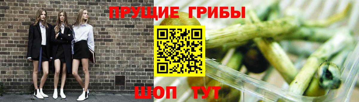 Галлюциногенные грибы Psilocybine cubensis  Псилоцибиновые грибы Psilocybine cubensis  Вход с VPN  хочу   Кувандык 